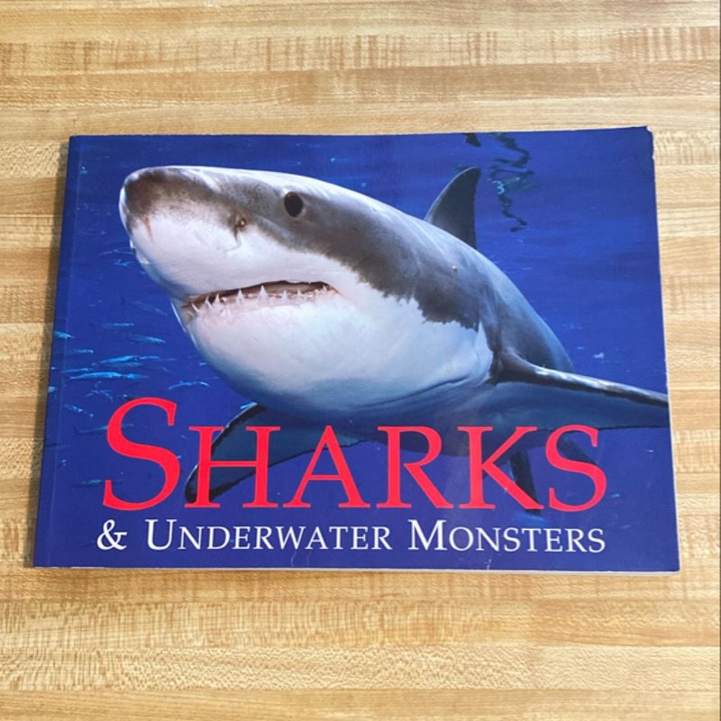 Sharks & Underwater Monsters