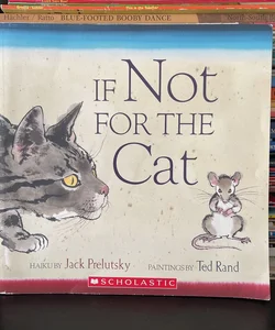If Not for the Cat