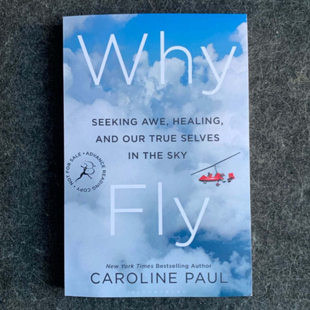 Why Fly - Seeking Awe, Healing, and Our True Selves in the Sky