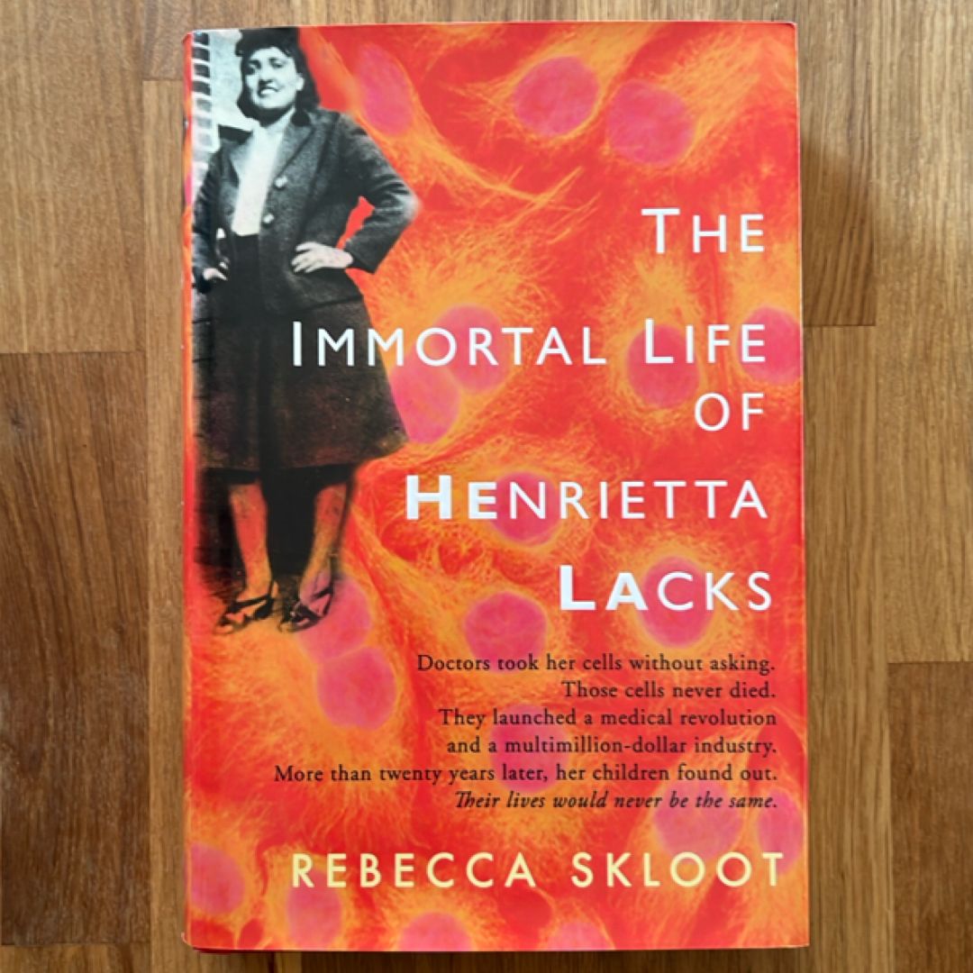 Sale image for d52b18bf-b180-47d9-80ca-fca98545c8c9-vNtdTlkSUZblPM0Xf2EnBEnhiwI3