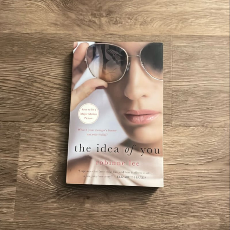 The Idea of You