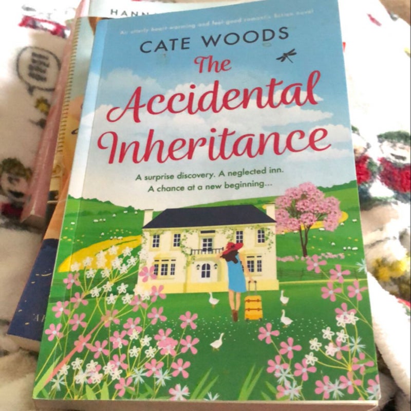 The Accidental Inheritance