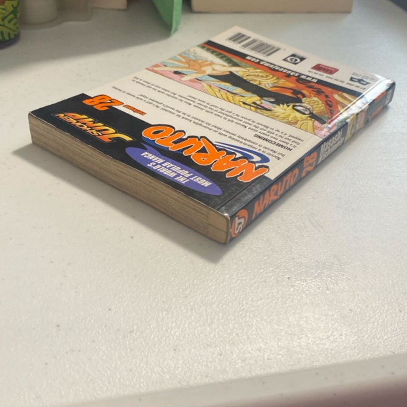 Naruto, Vol. 28