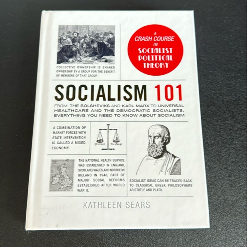 Socialism 101