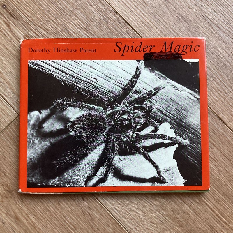 Spider Magic