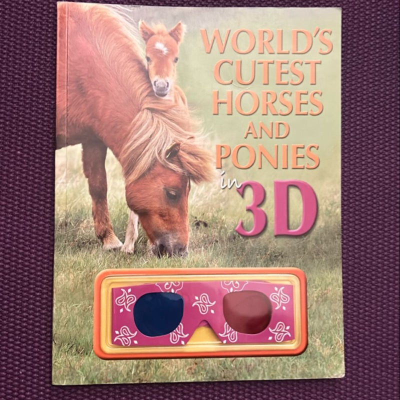 World’s Cutest Horses and Ponies in 3D