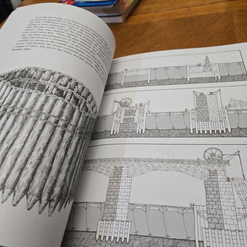 City, A Story of Roman Planning and Construction 