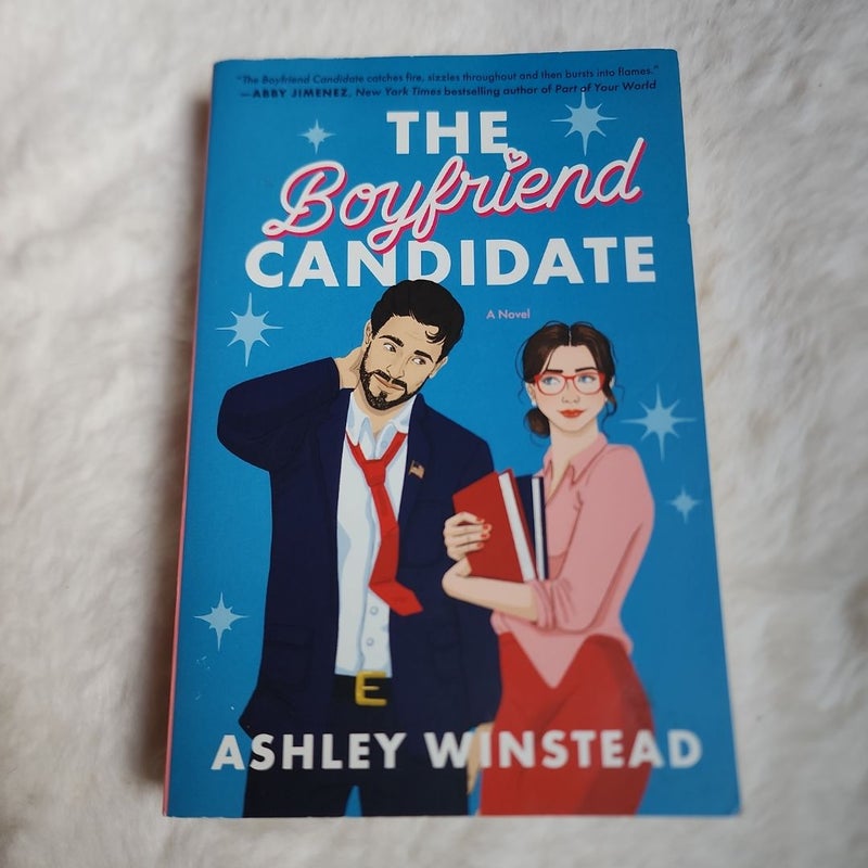 The Boyfriend Candidate