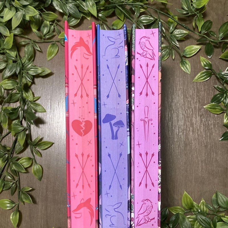 Once Upon a Broken Heart Trilogy FairyLoot Exclusive Signed by Author & Themed Items