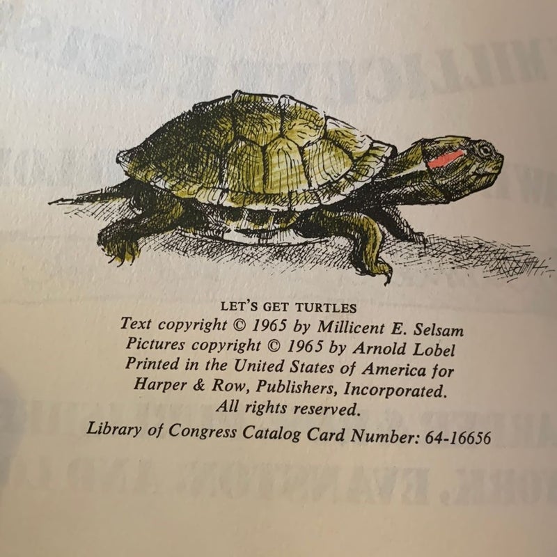 Let’s Get Turtles antique illustrated children’s book 1965