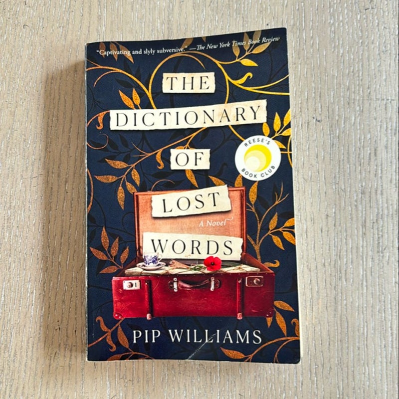 The Dictionary of Lost Words