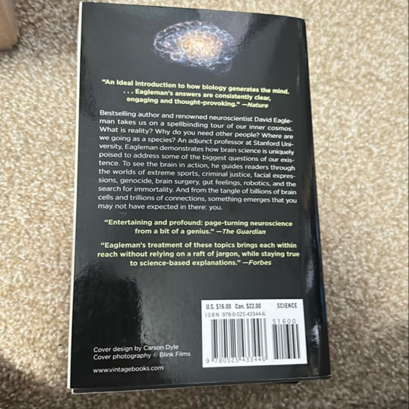 The Brain