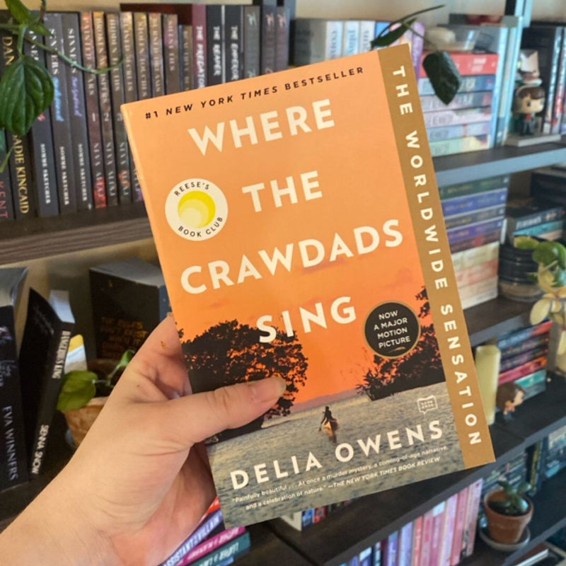 Where the Crawdads Sing