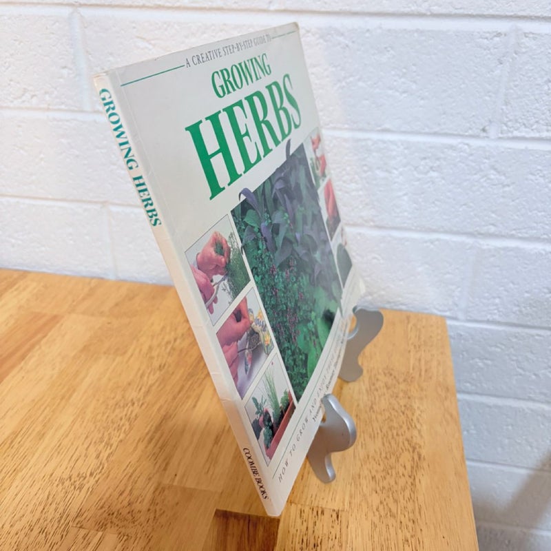 A Creative Step by Step Guide to Growing Herbs