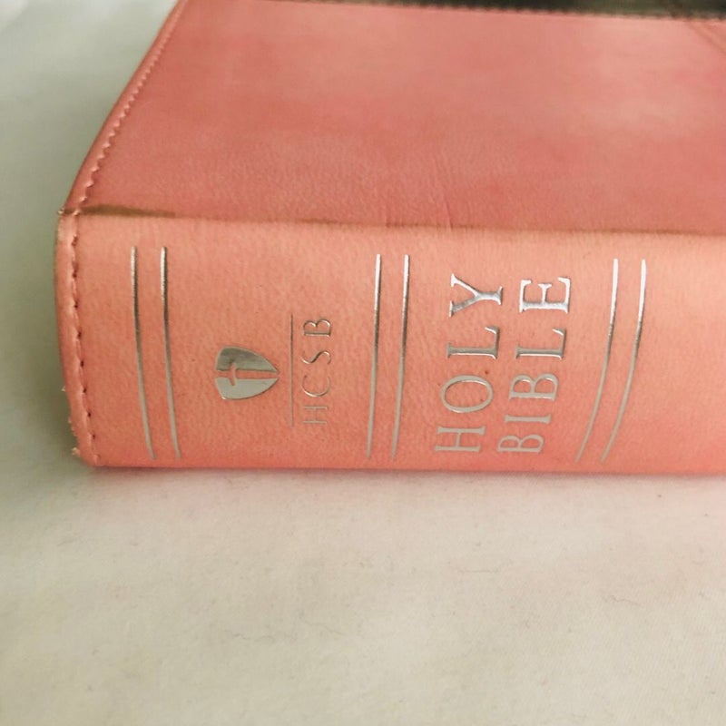 HCSB Large Print Personal Size Bible, Pink/Brown LeatherTouch Indexed