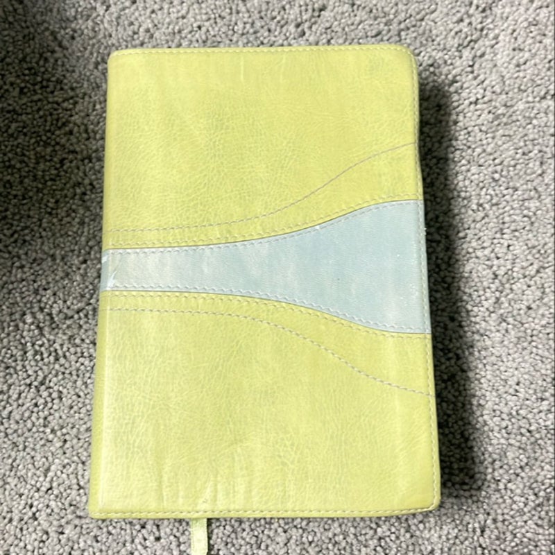 Student Bible