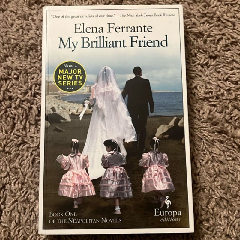 My Brilliant Friend