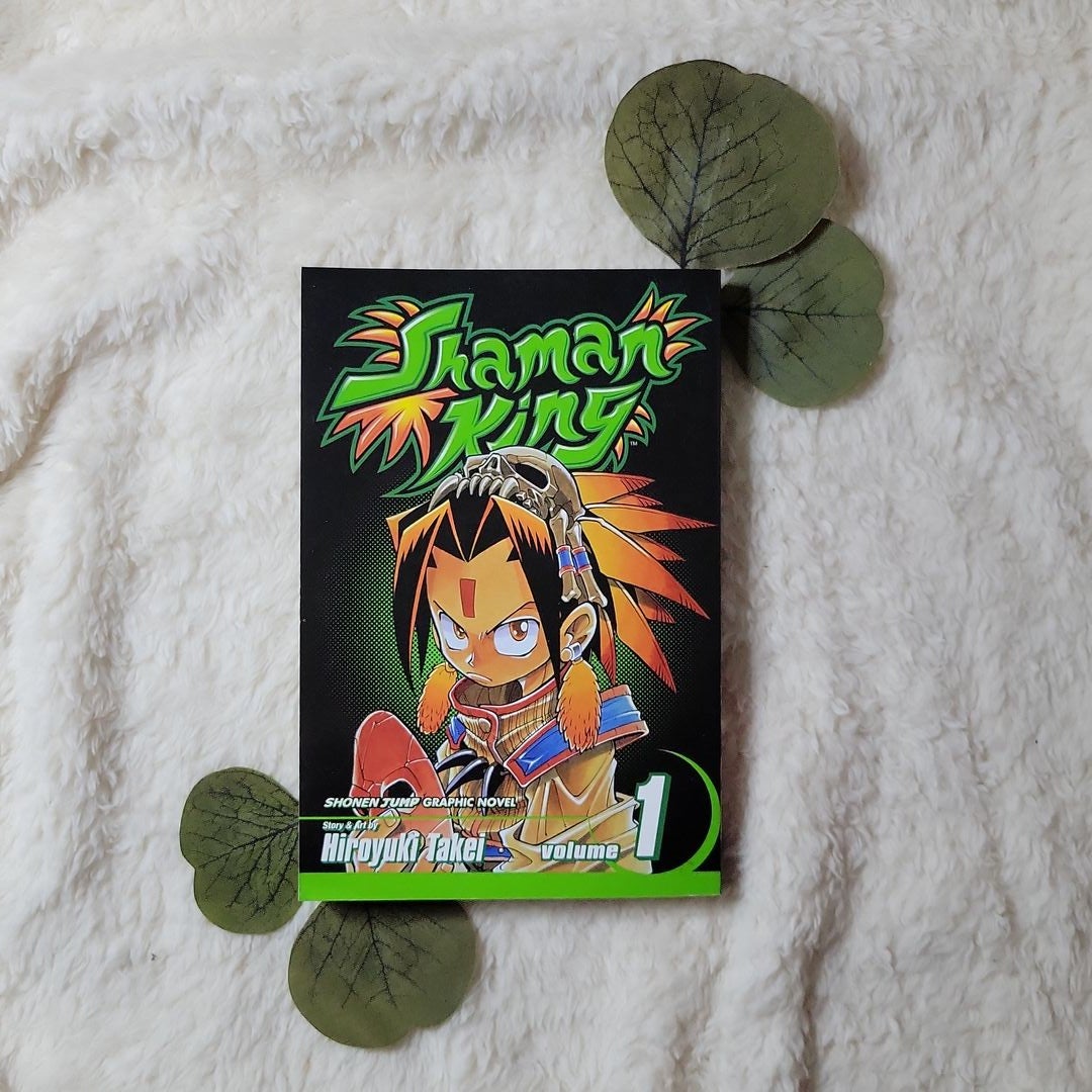 Shaman King, Vol. 1