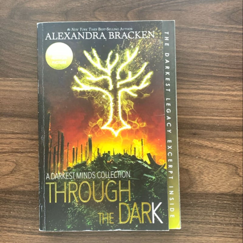 Through the Dark (a Darkest Minds Collection)