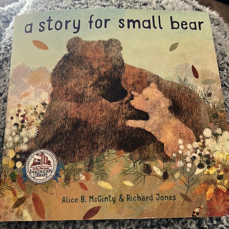 A story for a small bear 