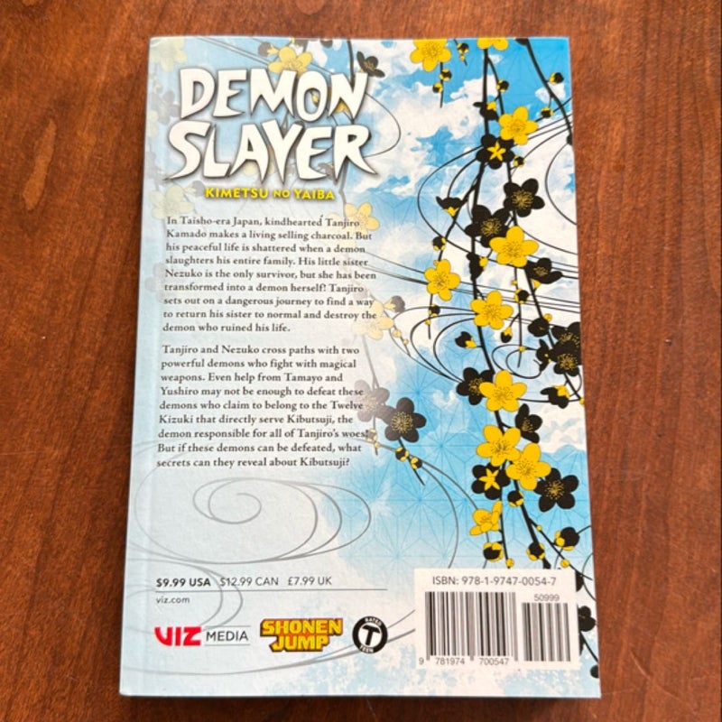 Demon Slayer: Kimetsu No Yaiba, Vol. 3