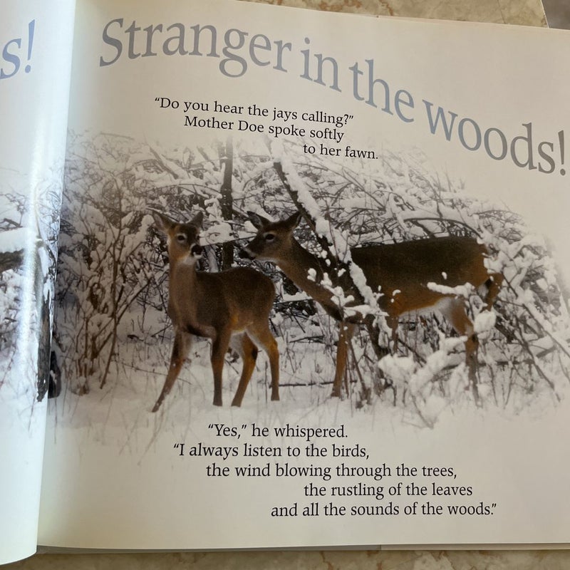 Stranger in the Woods