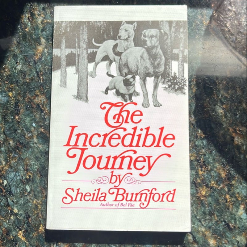 The Incredible Journey