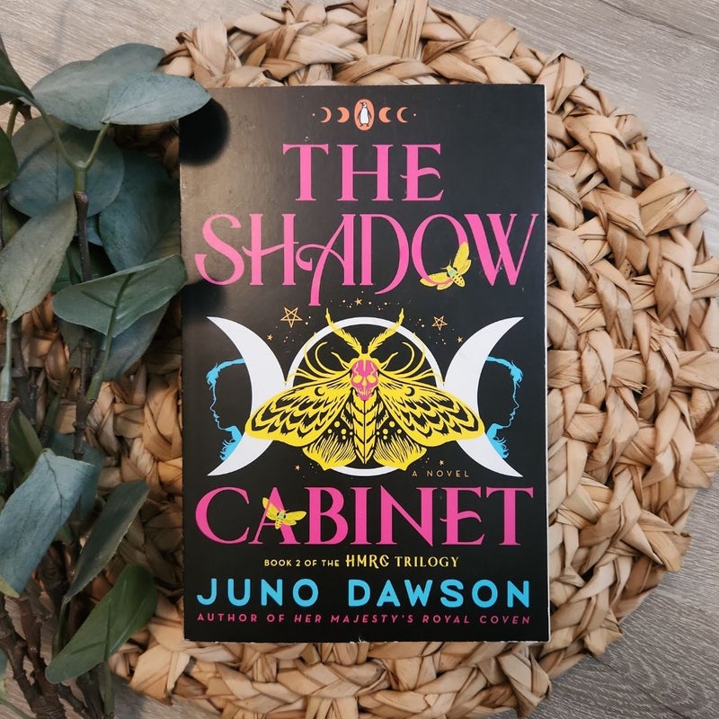 The Shadow Cabinet