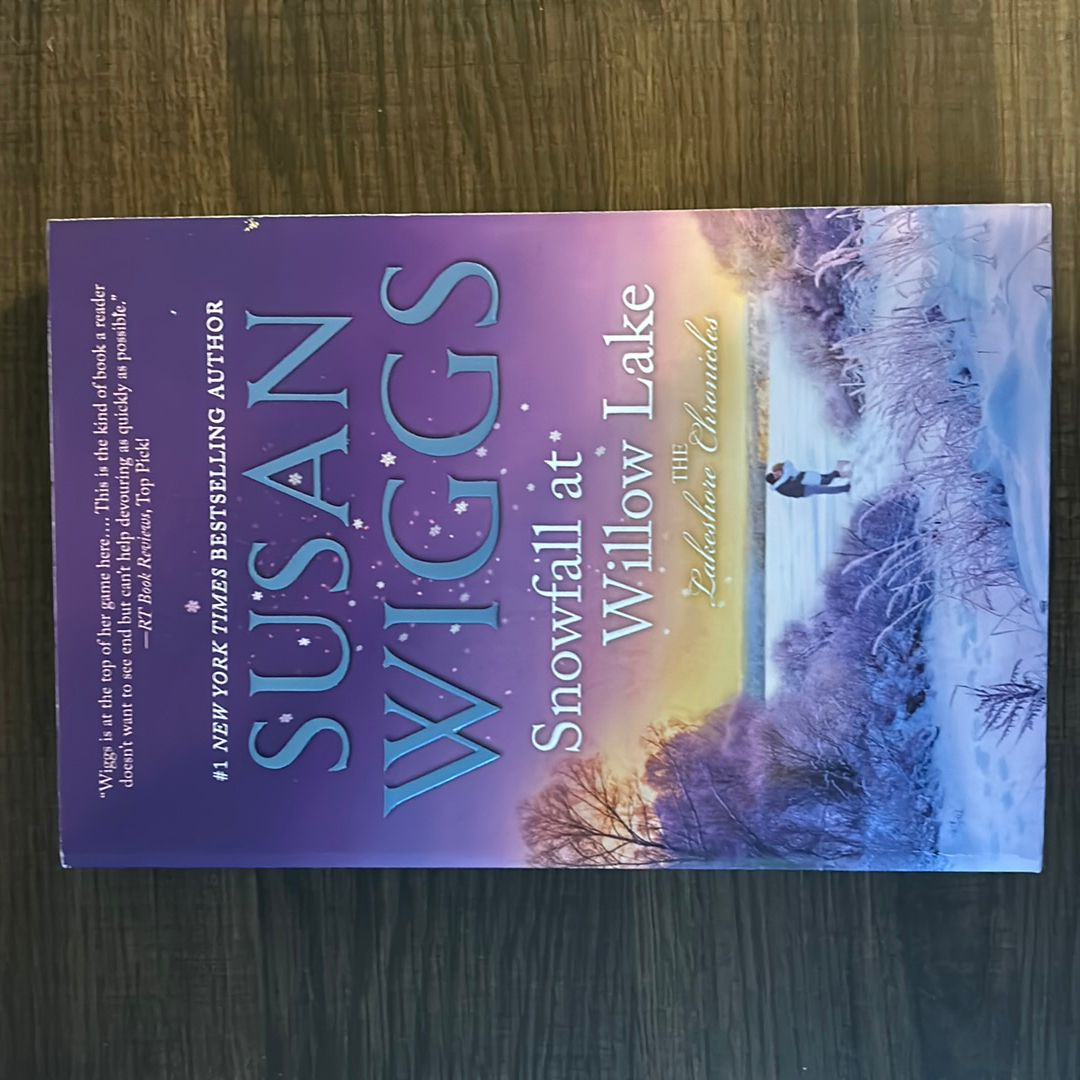 Snowfall at Willow Lake