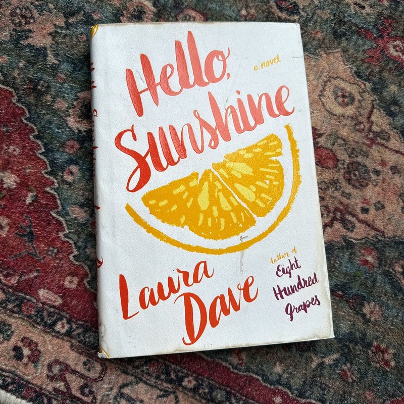 Hello, Sunshine - Laura Dave Laura Dave