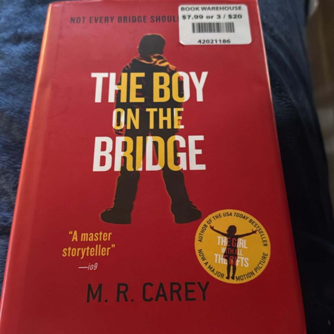The Boy on the Bridge