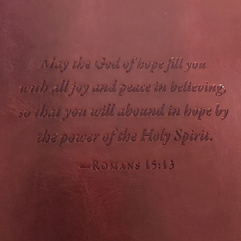 Jesus, Our Perfect Hope
