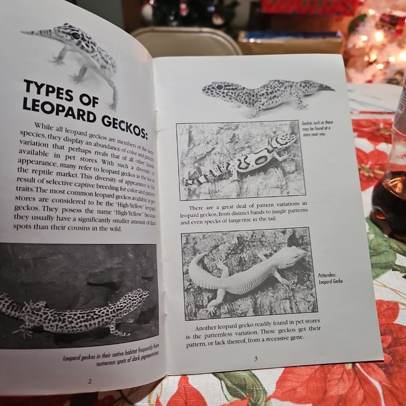 Proper Care and Maintenance of Leopard Geckos by