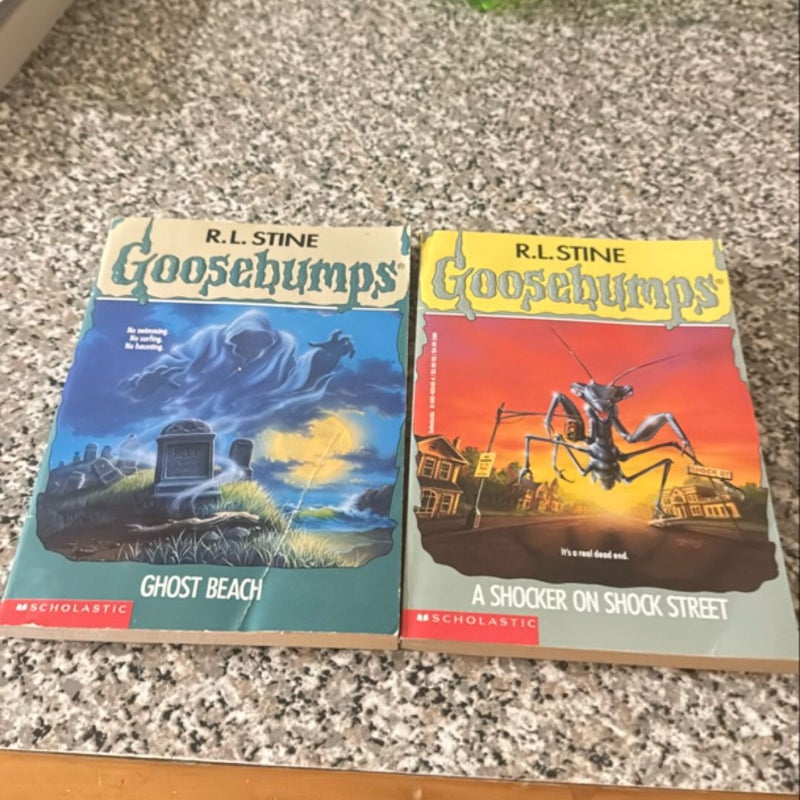 Set of 2 ghost books ghost beach and a shocker on shock street
