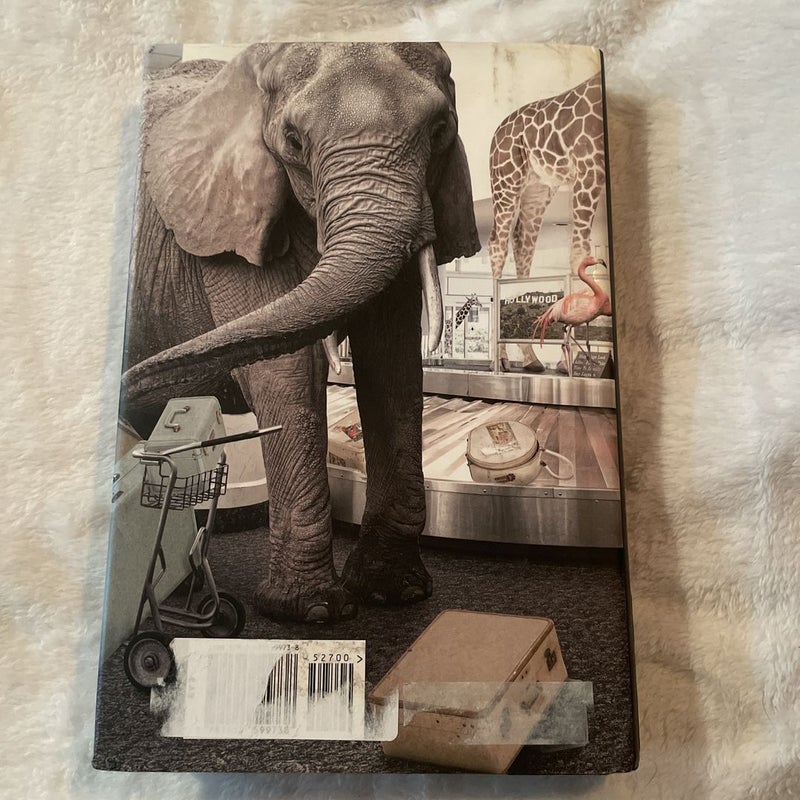 Uganda Be Kidding Me