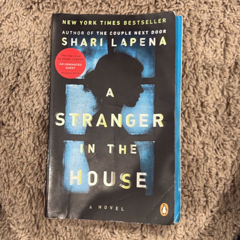 A Stranger in the House