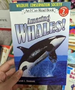 Amazing Whales