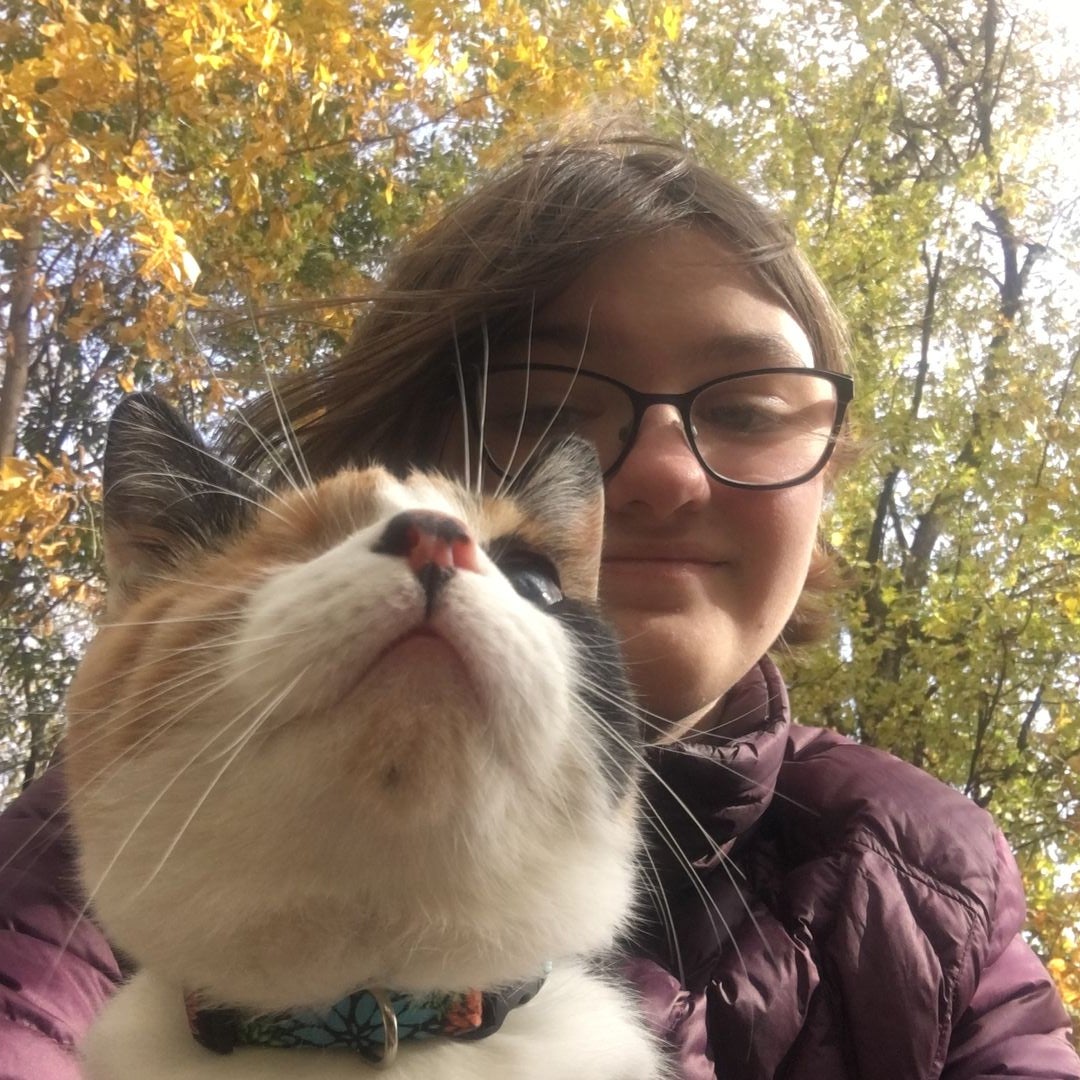 Cats n’ Books