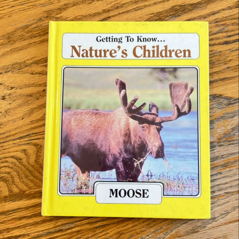 Getting to know nature‘s children moose and downy woodpecker 