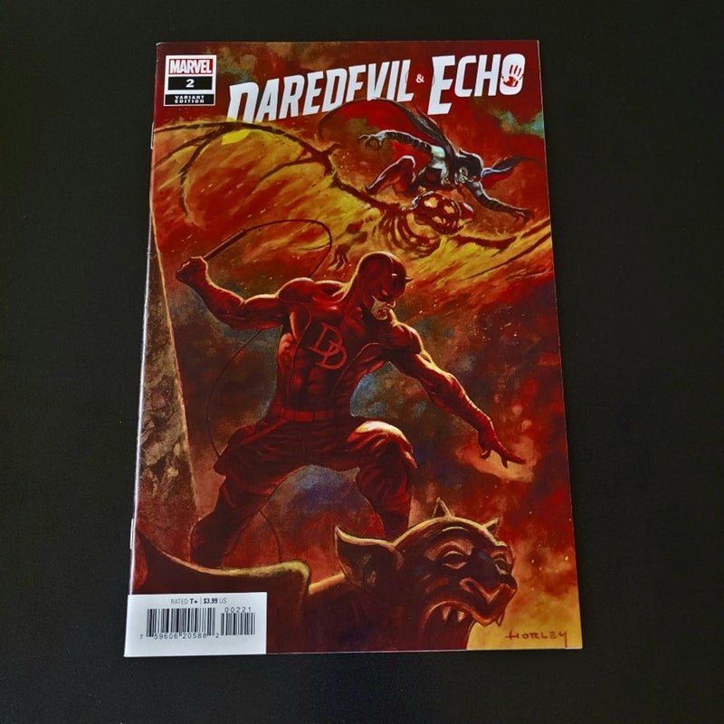 Daredevil & Echo #2