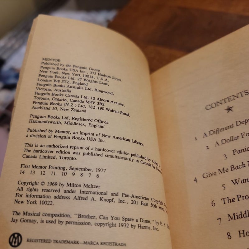 Brother, Can You Spare A Dime? The Great Depression 1929-1933 (by Milton Meltzer)