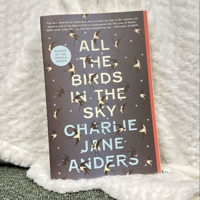 All the Birds in the Sky