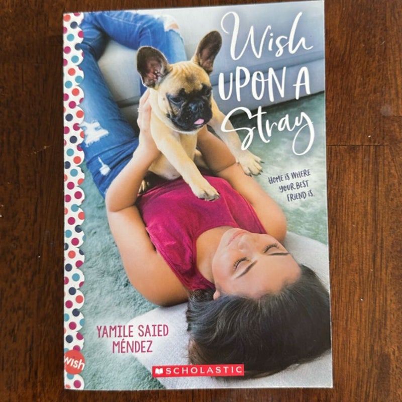 Wish upon a Stray: a Wish Novel