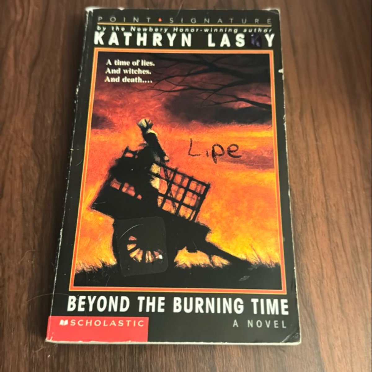 Beyond the Burning Time by Kathryn Lasky