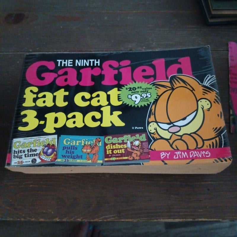 The Ninth Garfield Fat Cat