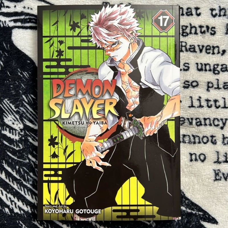 Demon Slayer: Kimetsu No Yaiba, Vol. 17