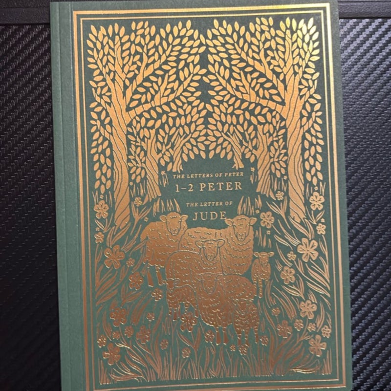 ESV Illuminated scripture journal