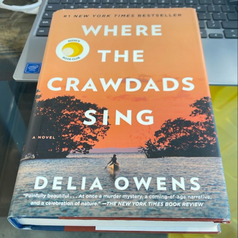 Where the Crawdads Sing