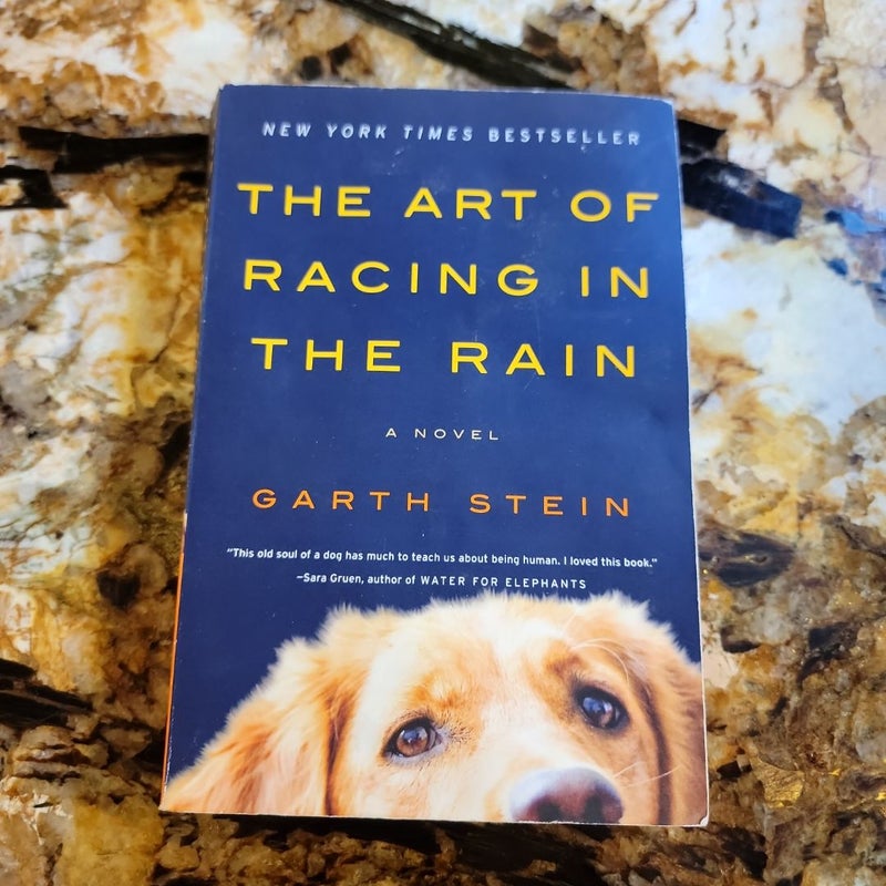 The Art of Racing in the Rain