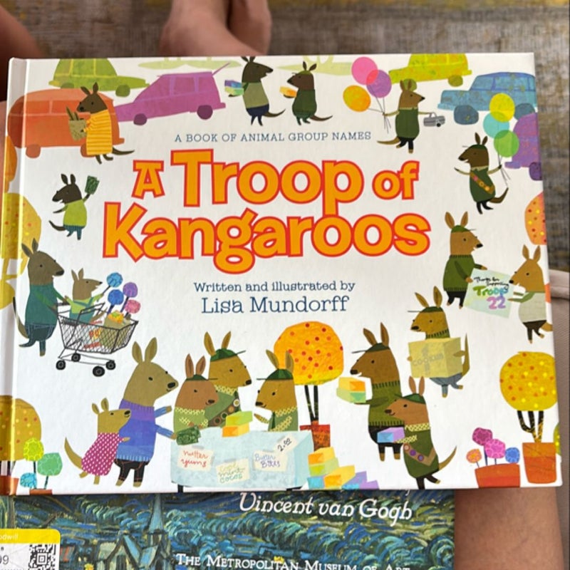 A Troop of Kangaroos